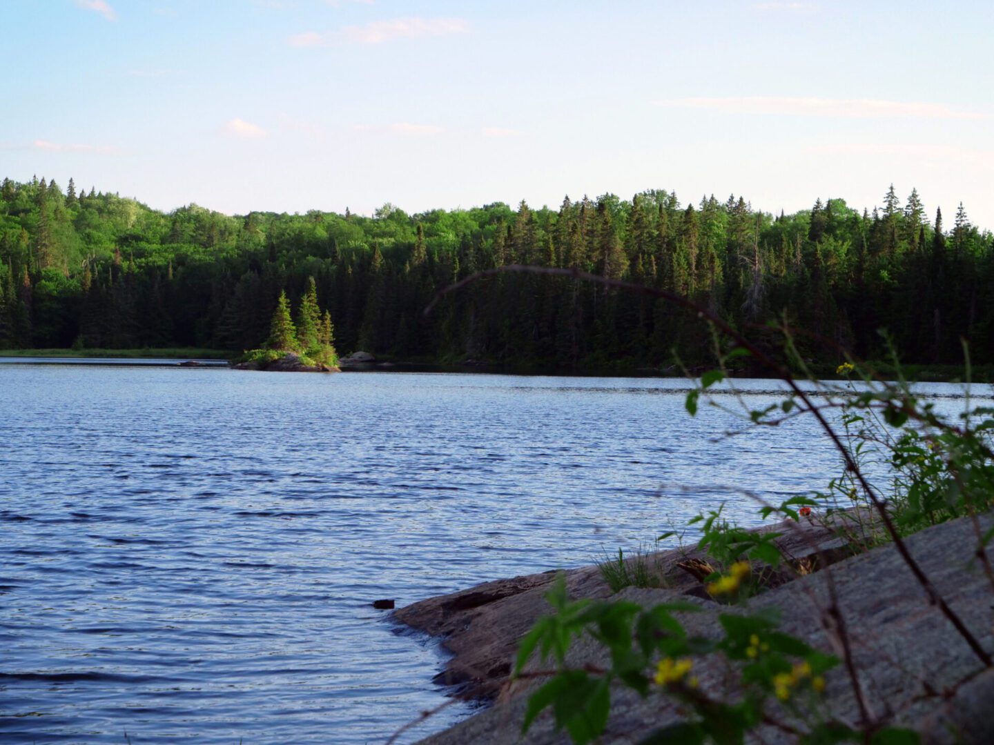 Forest lake with distant tree-lined shore.